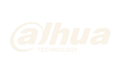 dahua